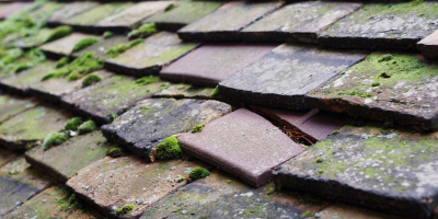 Skimpot roof repair costs